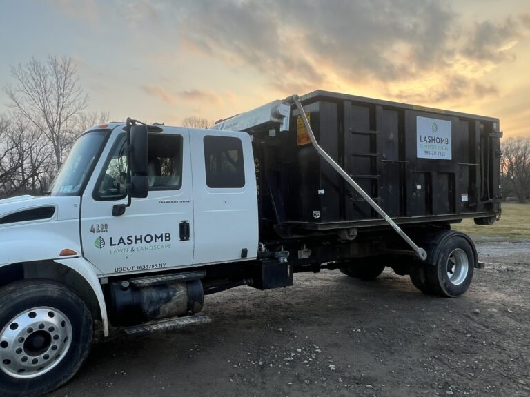 Dumpster 1